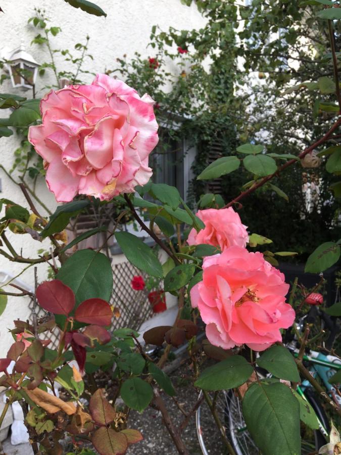 Vintage-Mansarde Uber Wilden Garten Štutgart Exteriér fotografie