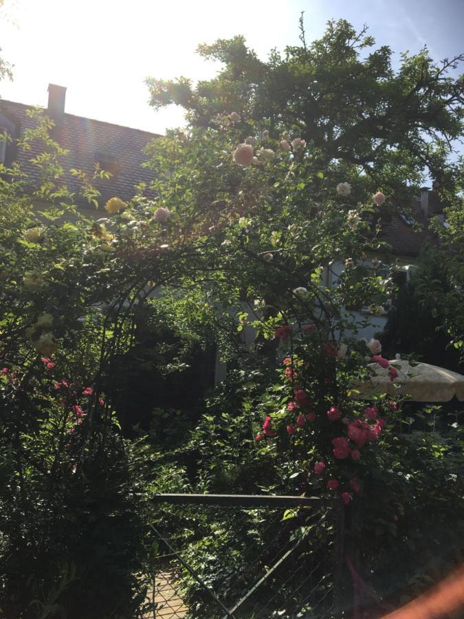 Vintage-Mansarde Uber Wilden Garten Štutgart Exteriér fotografie
