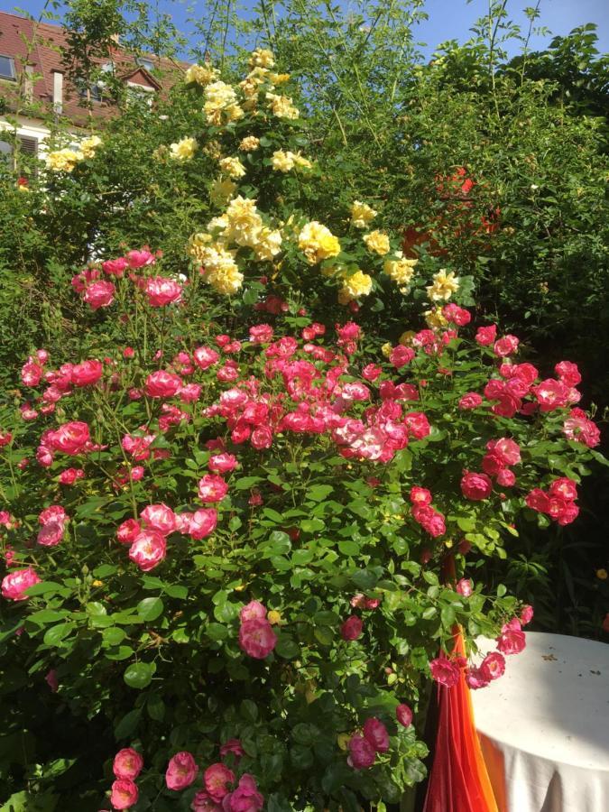 Vintage-Mansarde Uber Wilden Garten Štutgart Exteriér fotografie